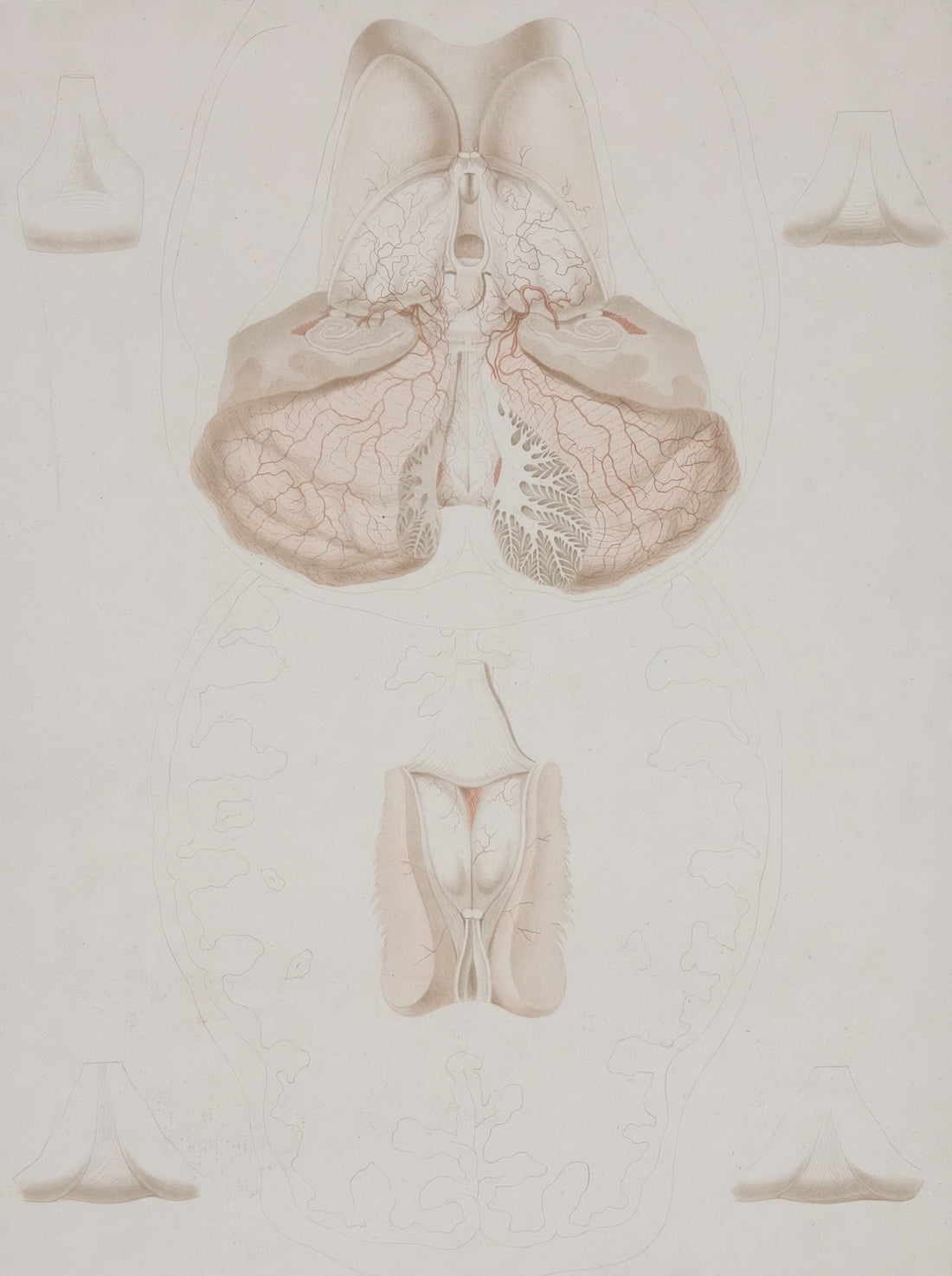 a drawing of a diagram of the human body