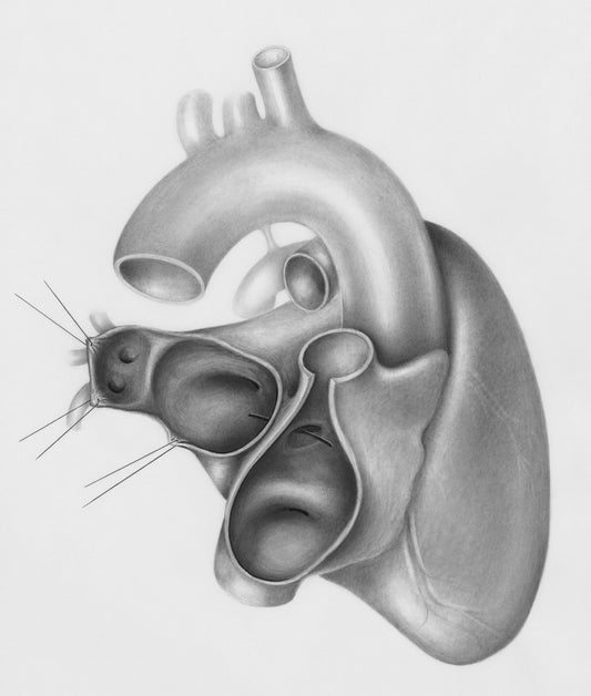 a drawing of a heart and a mouse